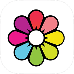 A multicolored flower with bold black outlines around the petals forms the Recolor logo