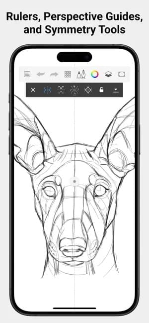 An in-progress pencil drawing of a dog from Sketchbook