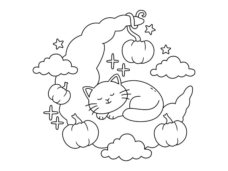 Sleepy Cat