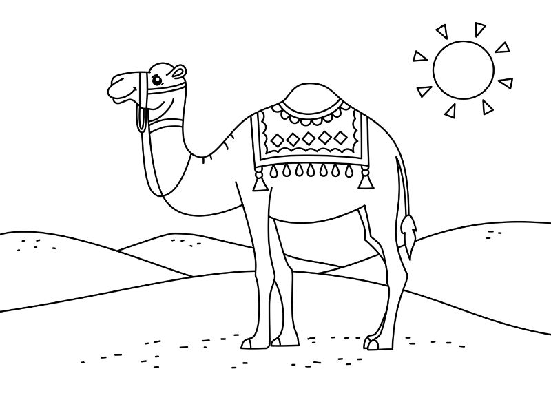 Camel Coloring Page