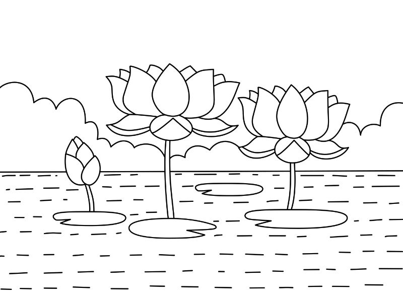 Lotus Flowers Coloring Page