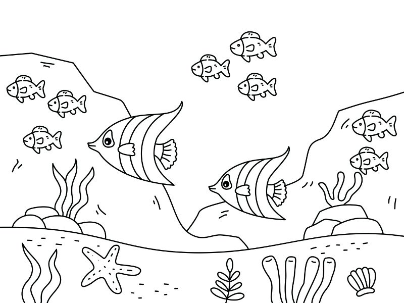 School of fish Coloring Page