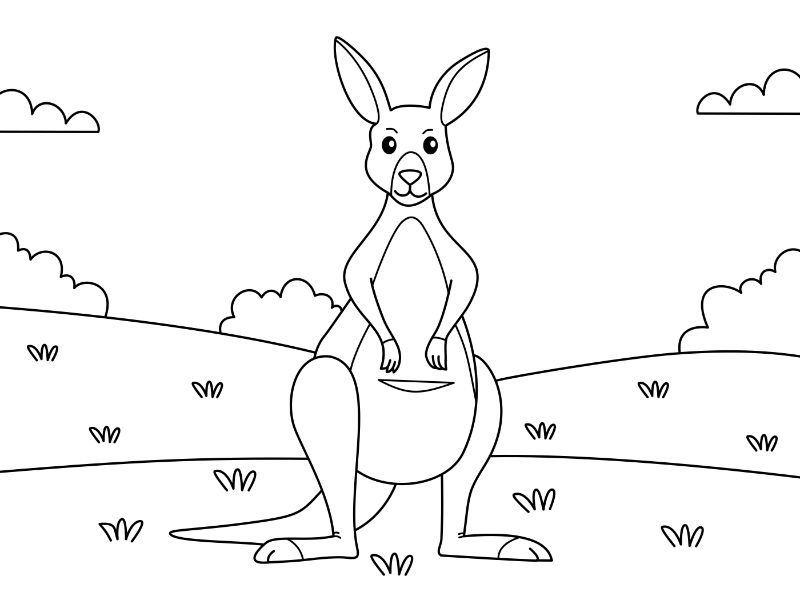 Kangaroo Coloring Page
