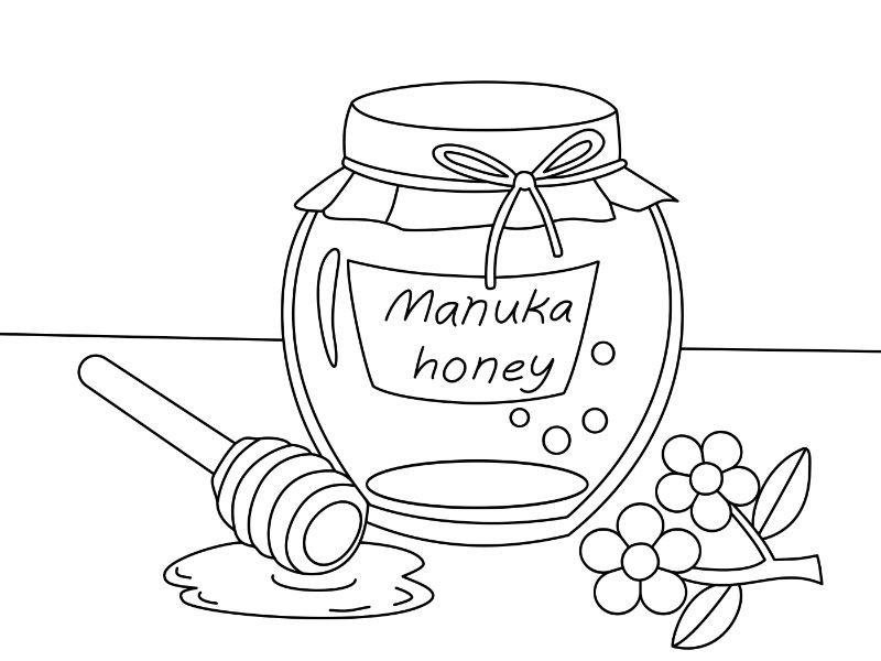 Honey Coloring Page