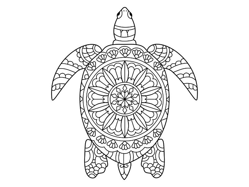 Turtle Mandala Coloring Page