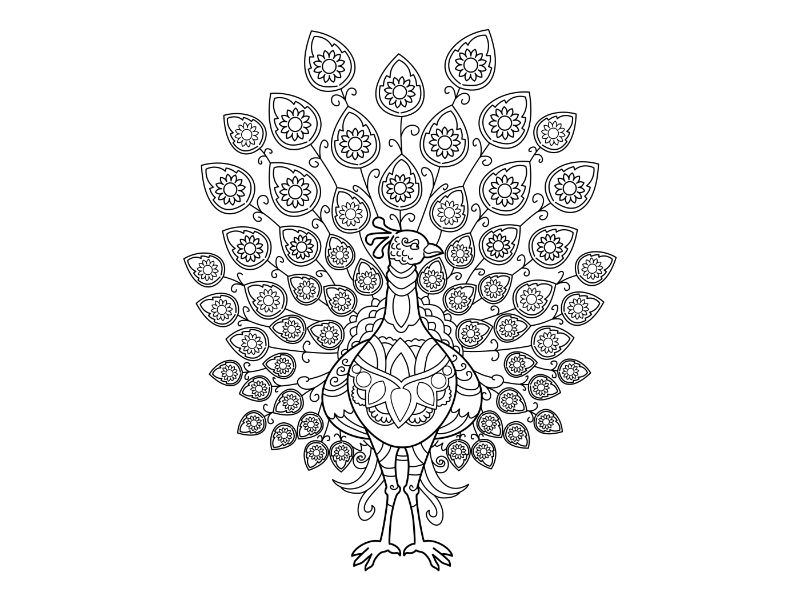 Peacock Mandala Coloring Page