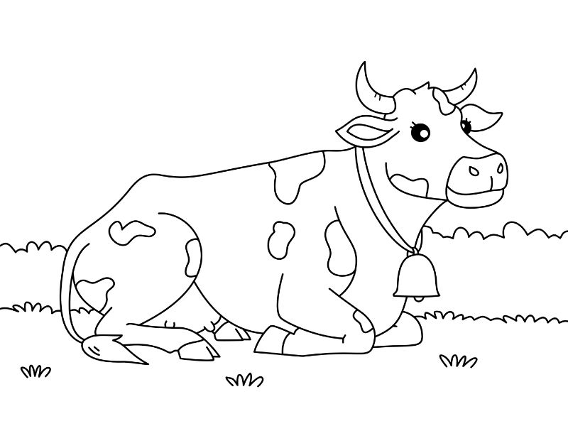 Cow Coloring Page