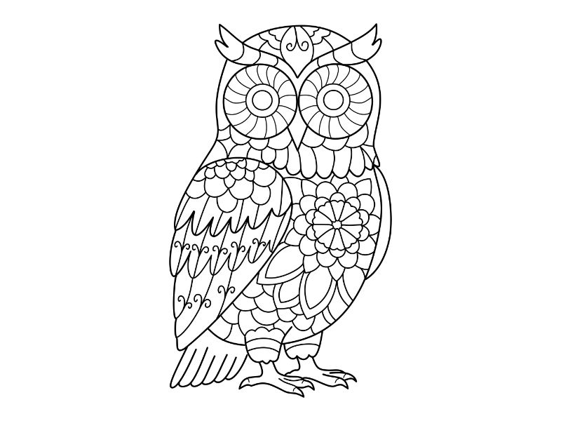 Owl Mandala Coloring Page