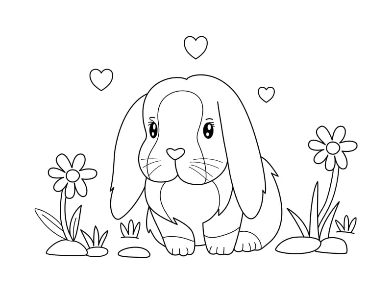 Lop Bunny Coloring Page