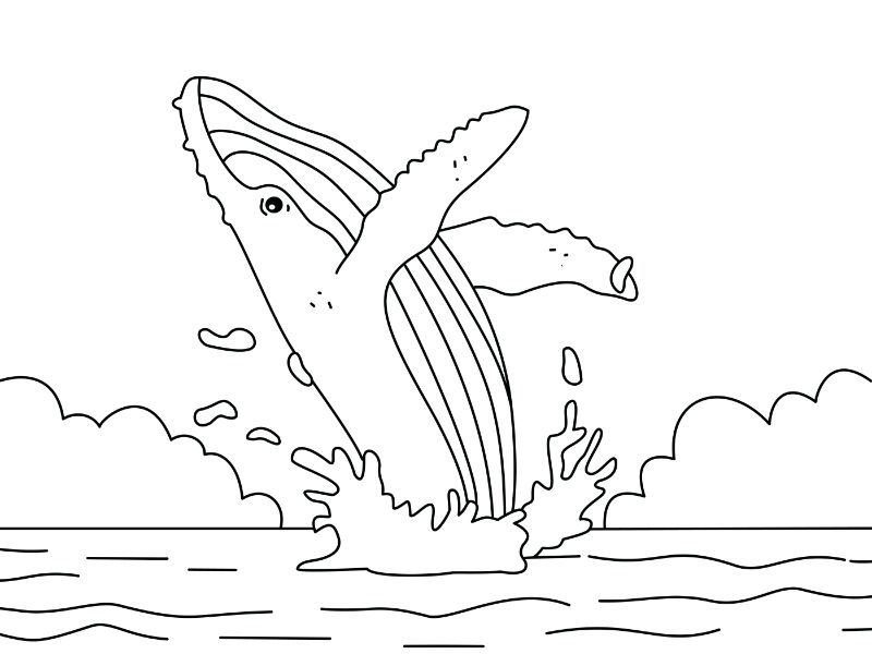 Whale Breech Coloring Page