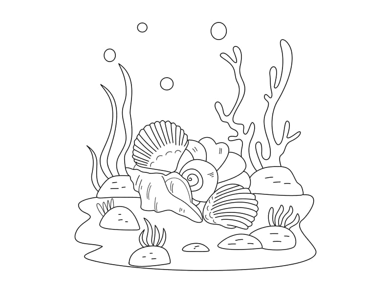 Seashell Coloring Page