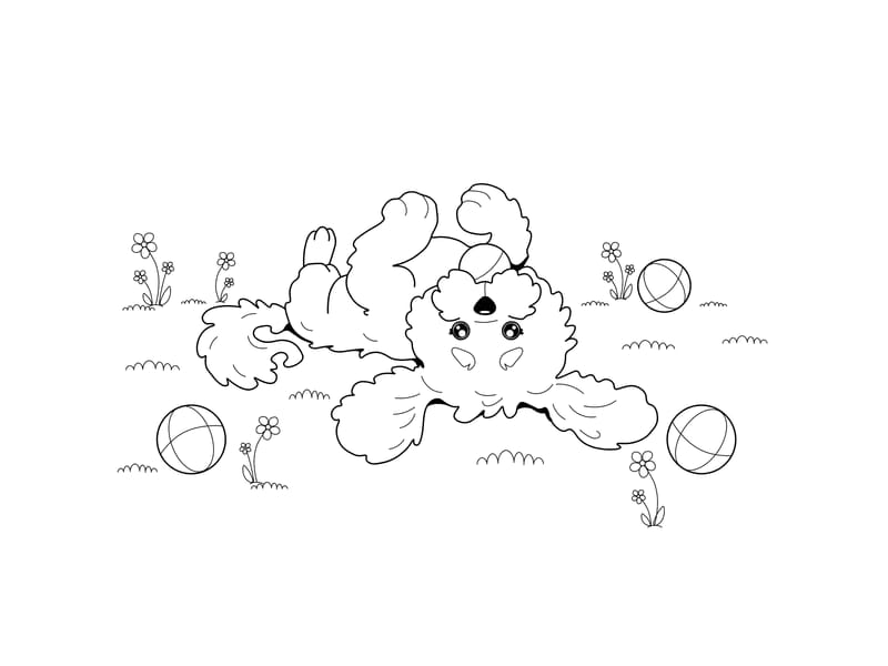 Poodle Coloring Page