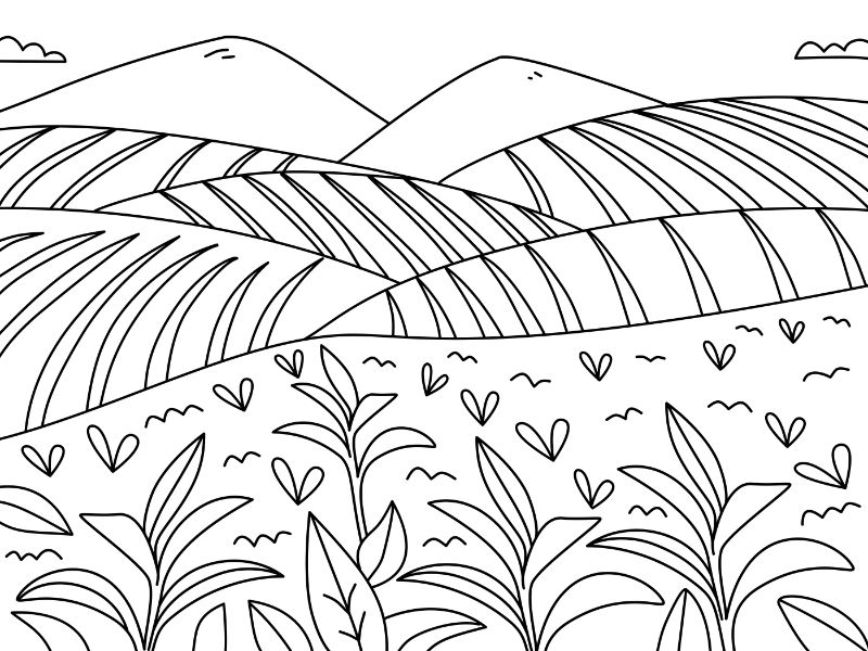 Tea Plantation Coloring Page