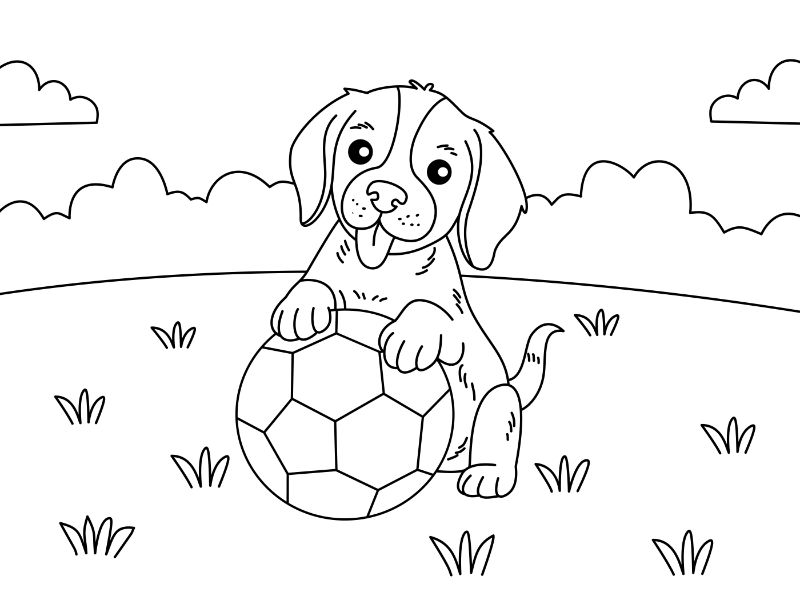 Soccer 7
