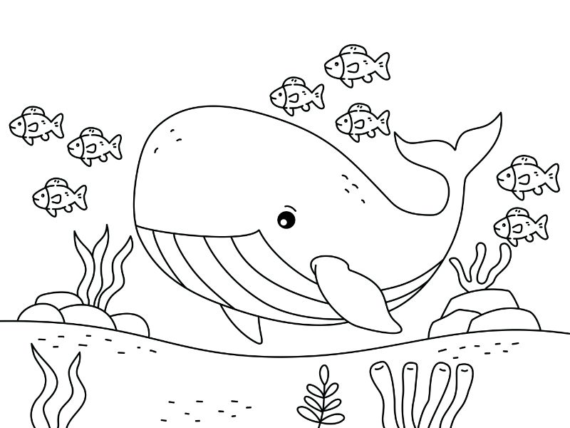 Whale Coloring Page