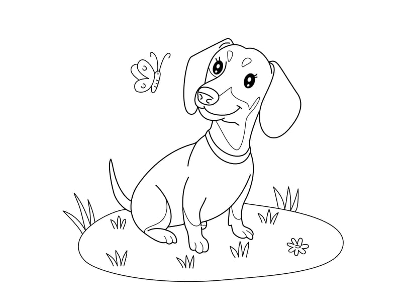 Dachshund Coloring Page