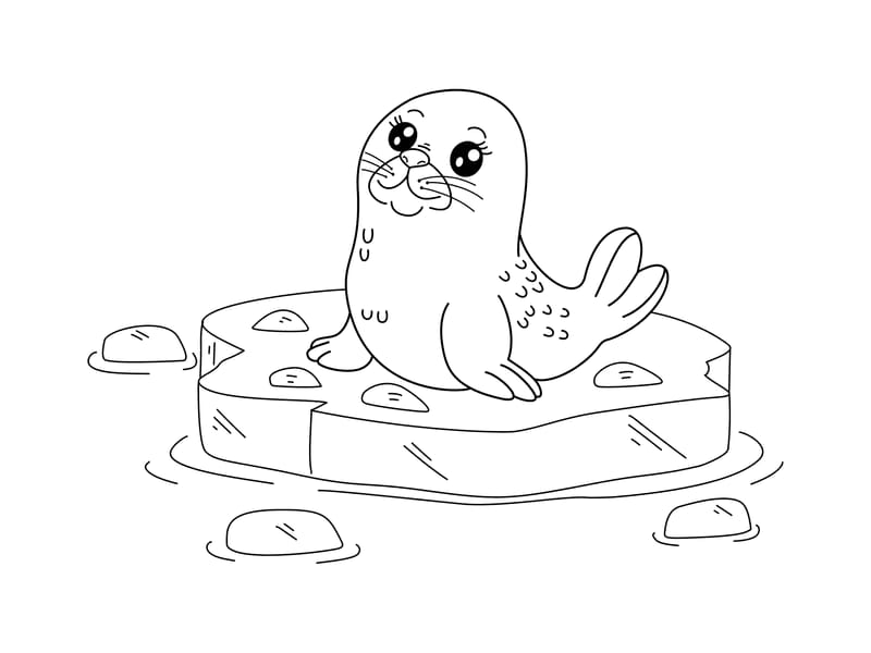 Baby Sea Lion Coloring Page