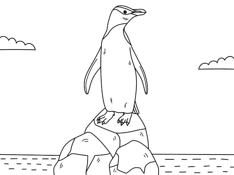 Yellow-eyed Penguin Coloring Page
