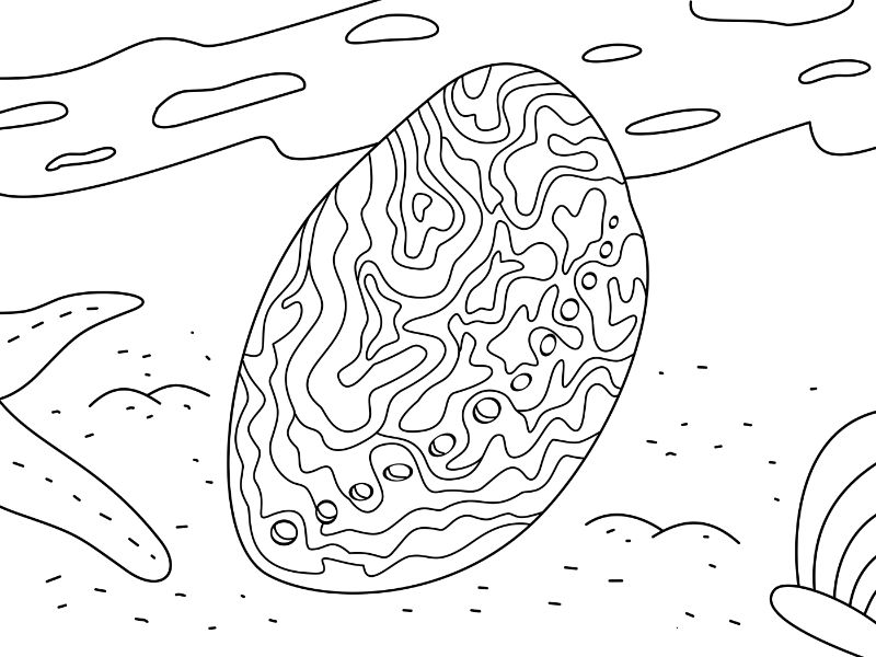 Paua Shell Coloring Page