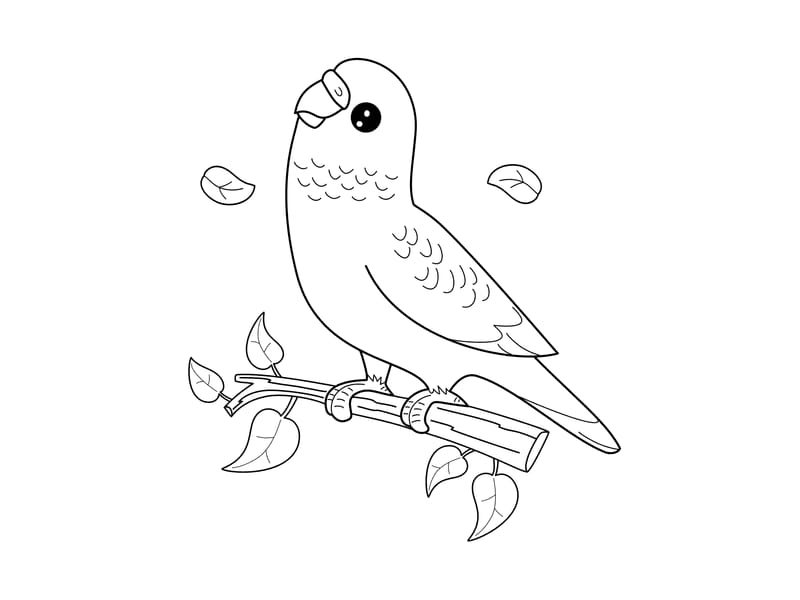Pet Bird Coloring Page