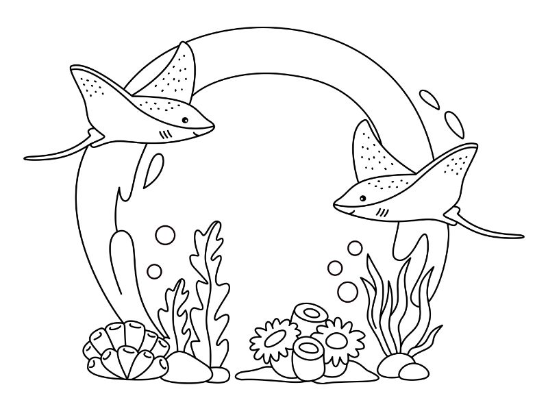 Manta Ray Coloring Page