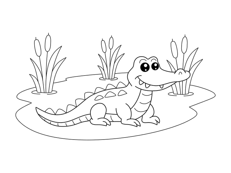 Alligator Coloring Page