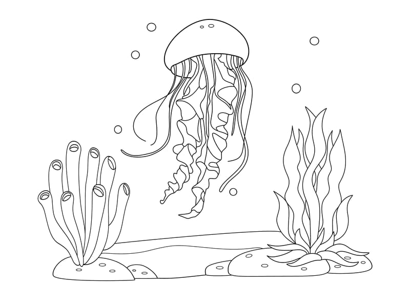 Jellyfish Coloring Page