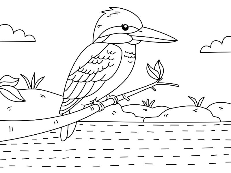 Kingfisher Coloring Page