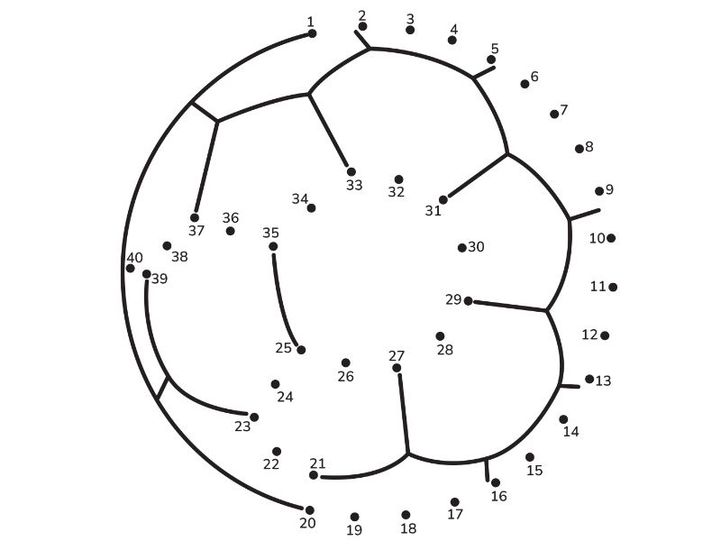 Soccer Connect Dots Coloring Page