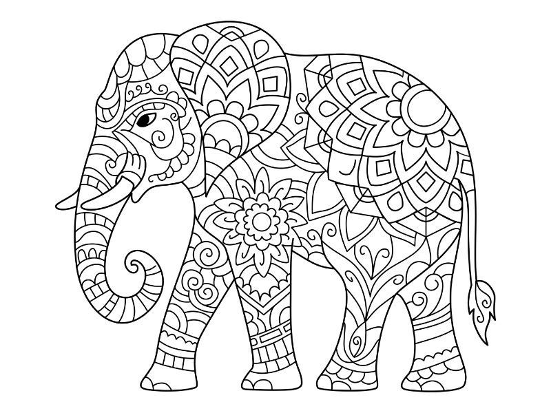 Elephant Mandala Coloring Page