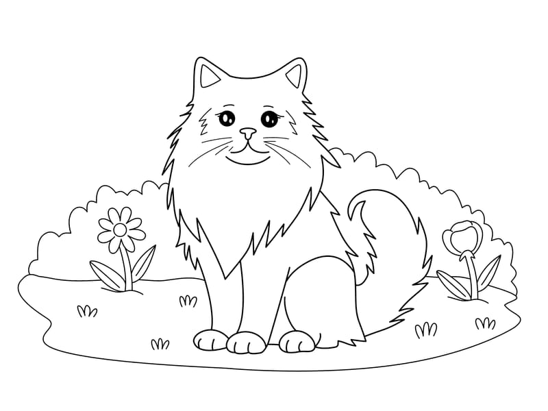 Long Hair Cat Coloring Page