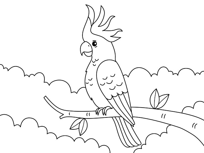 Cockatoo Coloring Page
