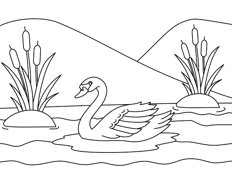 Swan Coloring Page