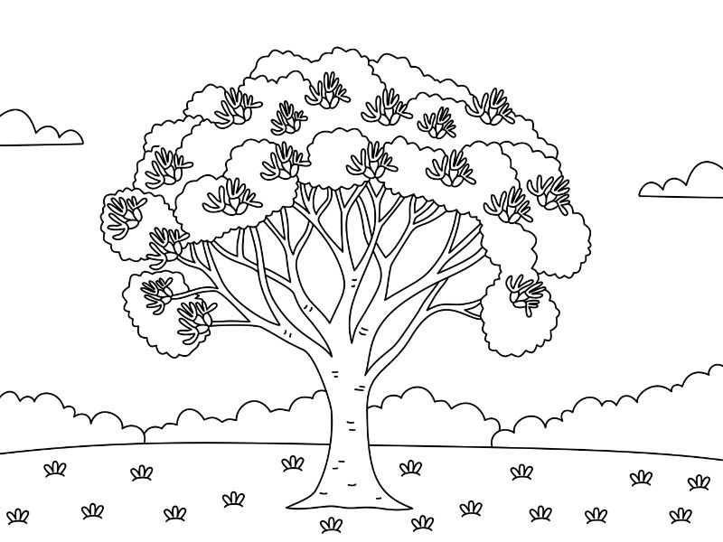 Pohutukawa Tree Coloring Page