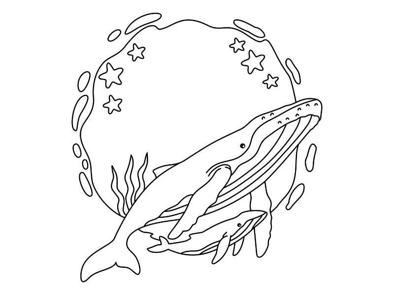 Whale Poster Coloring Page