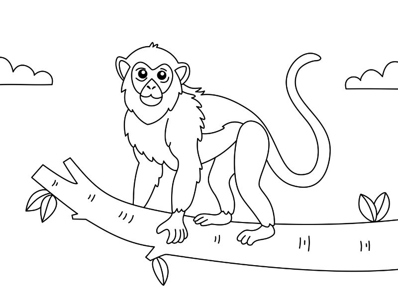 Langur Coloring Page