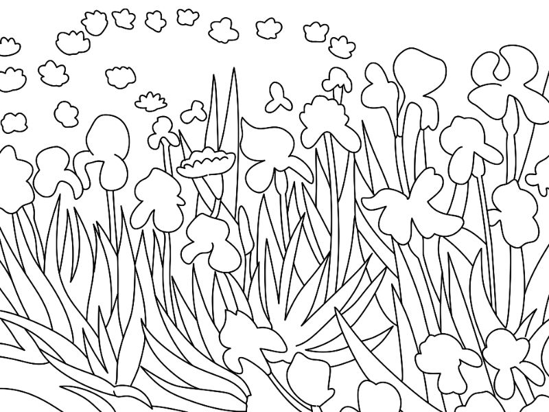 Irises Coloring Page