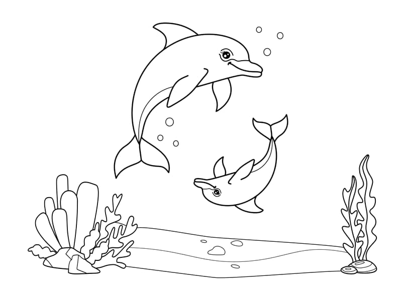 Dolphin Coloring Page