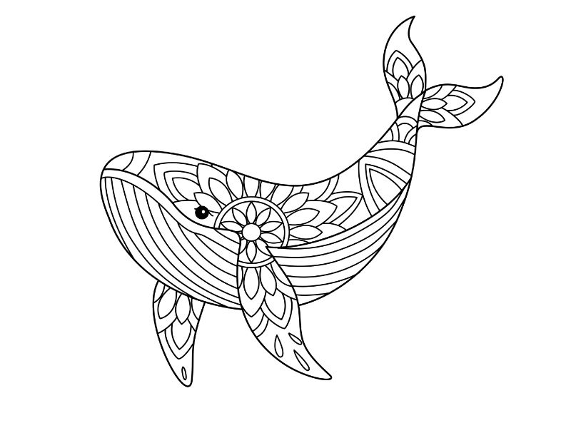 Whale Mandala Coloring Page