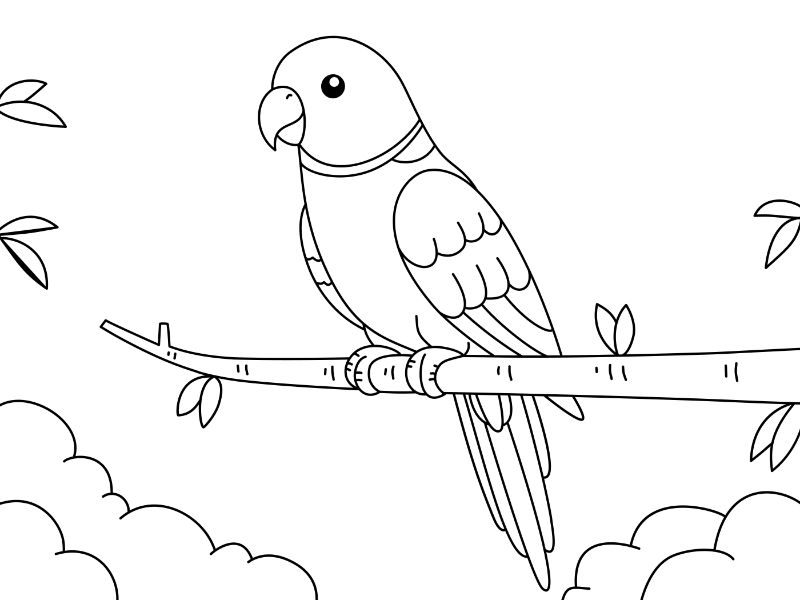 Ring Neck Parrot Coloring Page