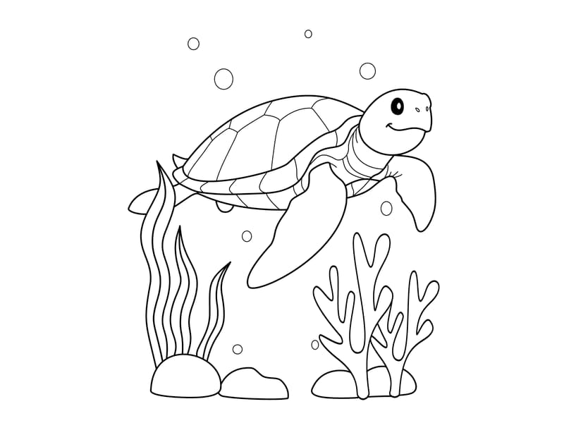 Turtle Coloring Page