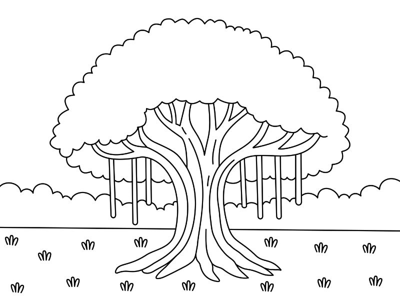 Banyan Tree Coloring Page