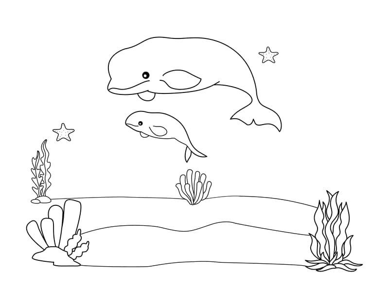 Beluga Coloring Page