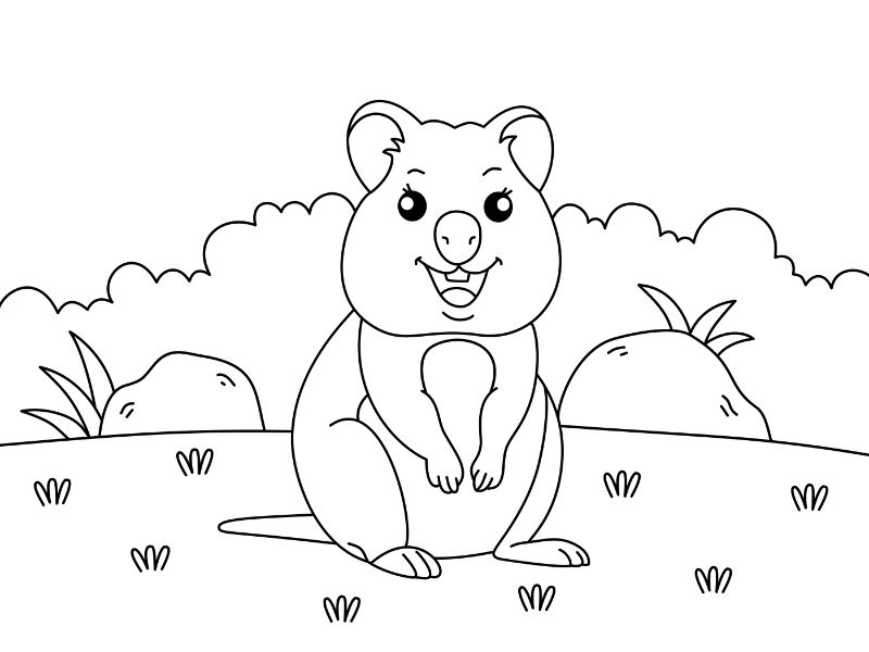 Quokka Coloring Page